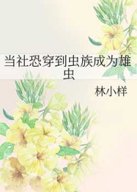 当社恐穿到虫族成为雄虫番外